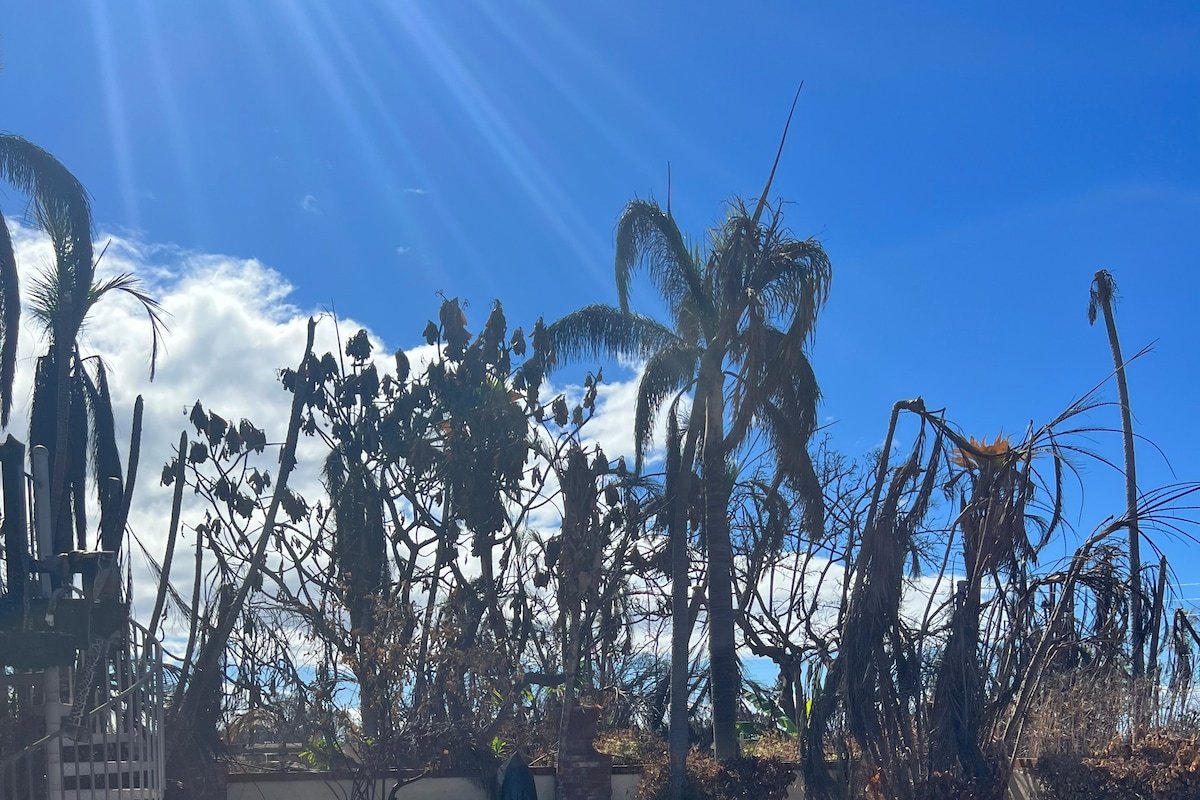 Stroll to Lahaina Town from Gated Home with Private Pool gallery image 2