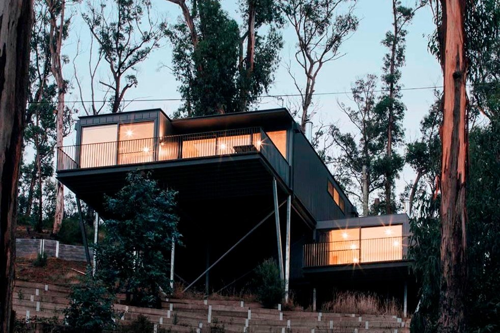 WYE UP – amongst the treetops gallery image 2