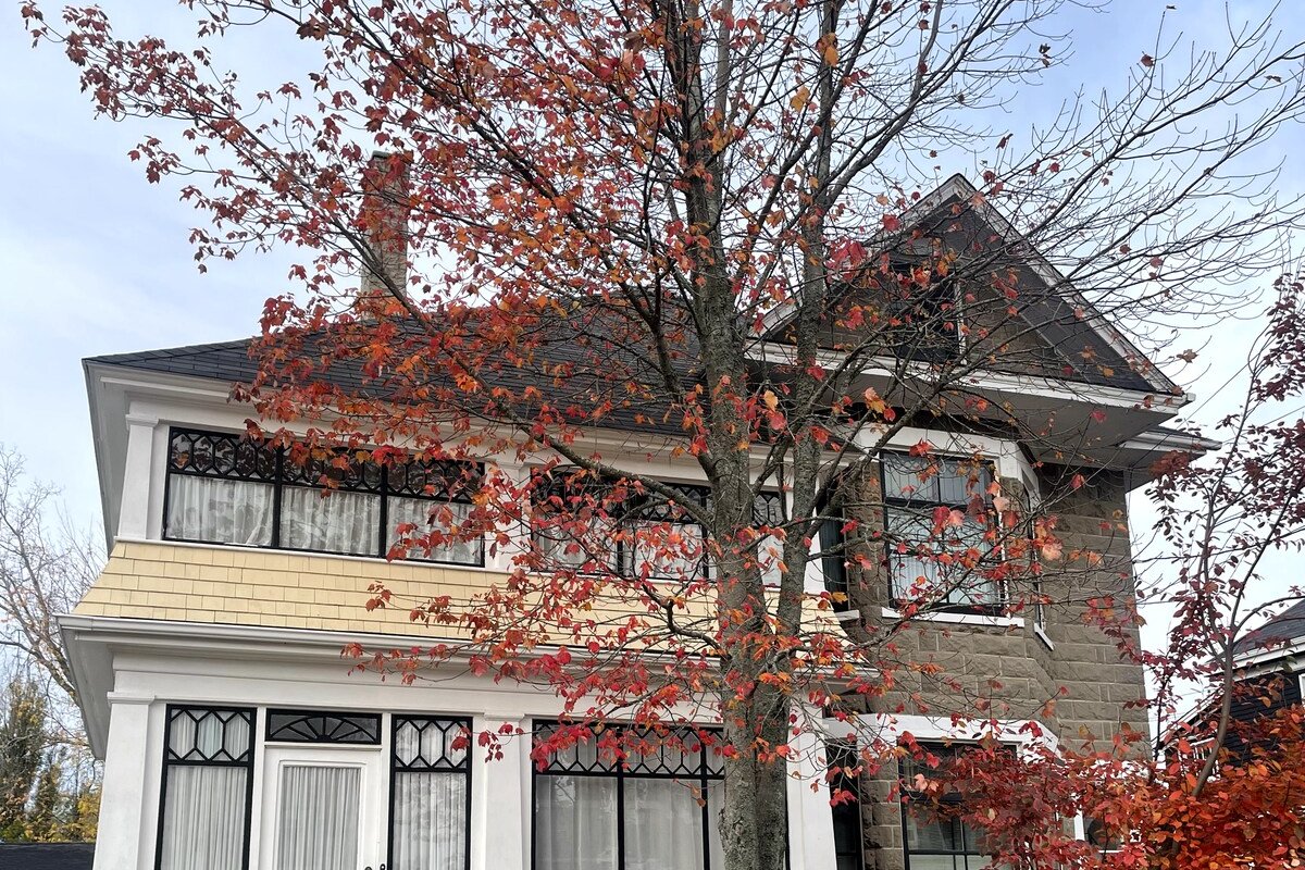 Beautiful Historic Upgrade Main gallery image 4