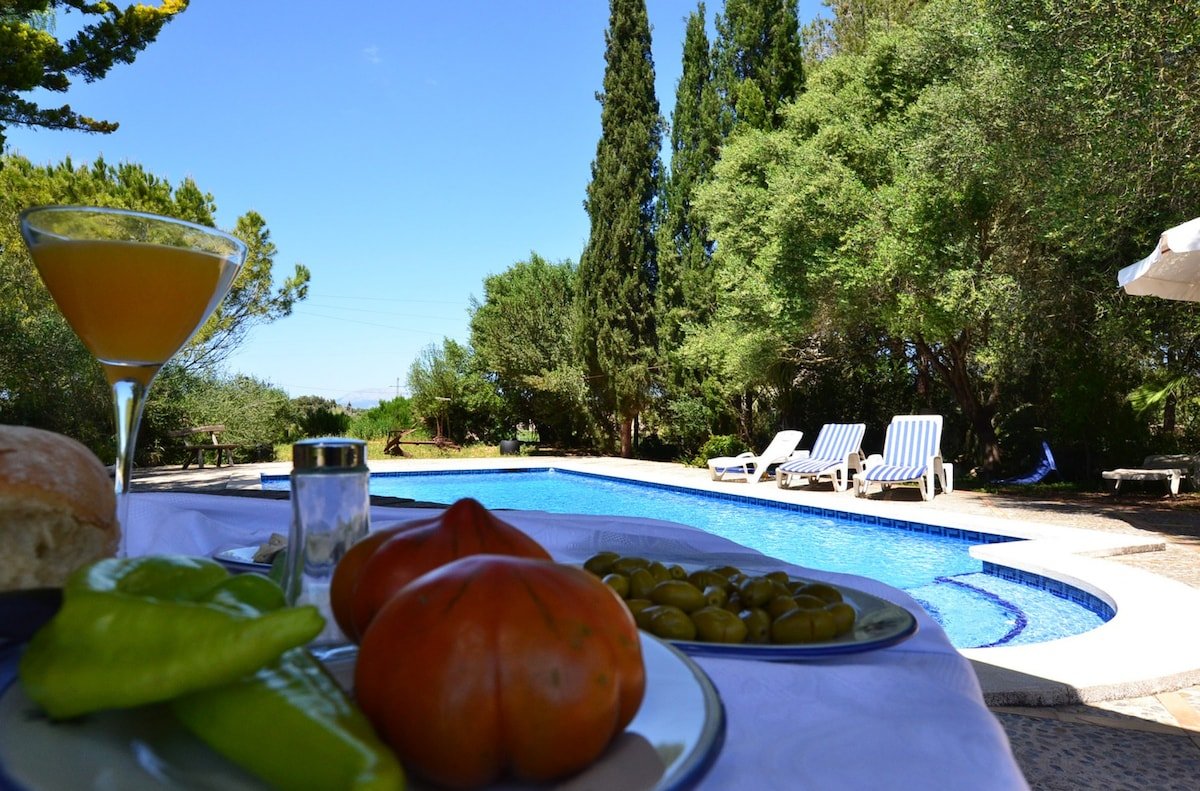 Son Palanca, Finca 5StarsHome Mallorca gallery image 5