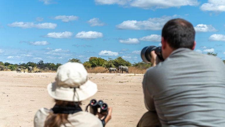 Nkonzi Camp - elephant viewing