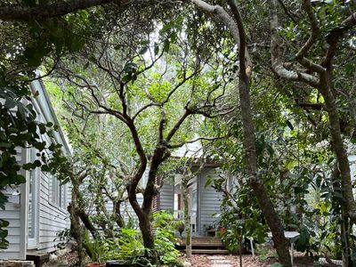Beach Forest Hideaway