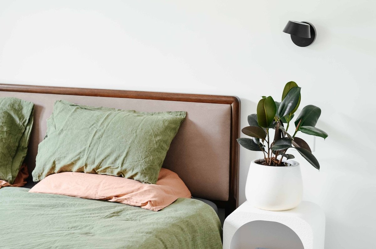 Pandanus Paradise House gallery image 5