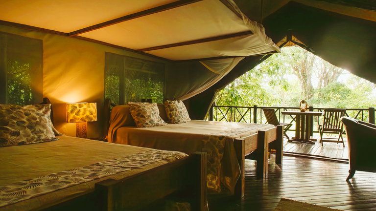 Rufiji River Camp Classic Tents
