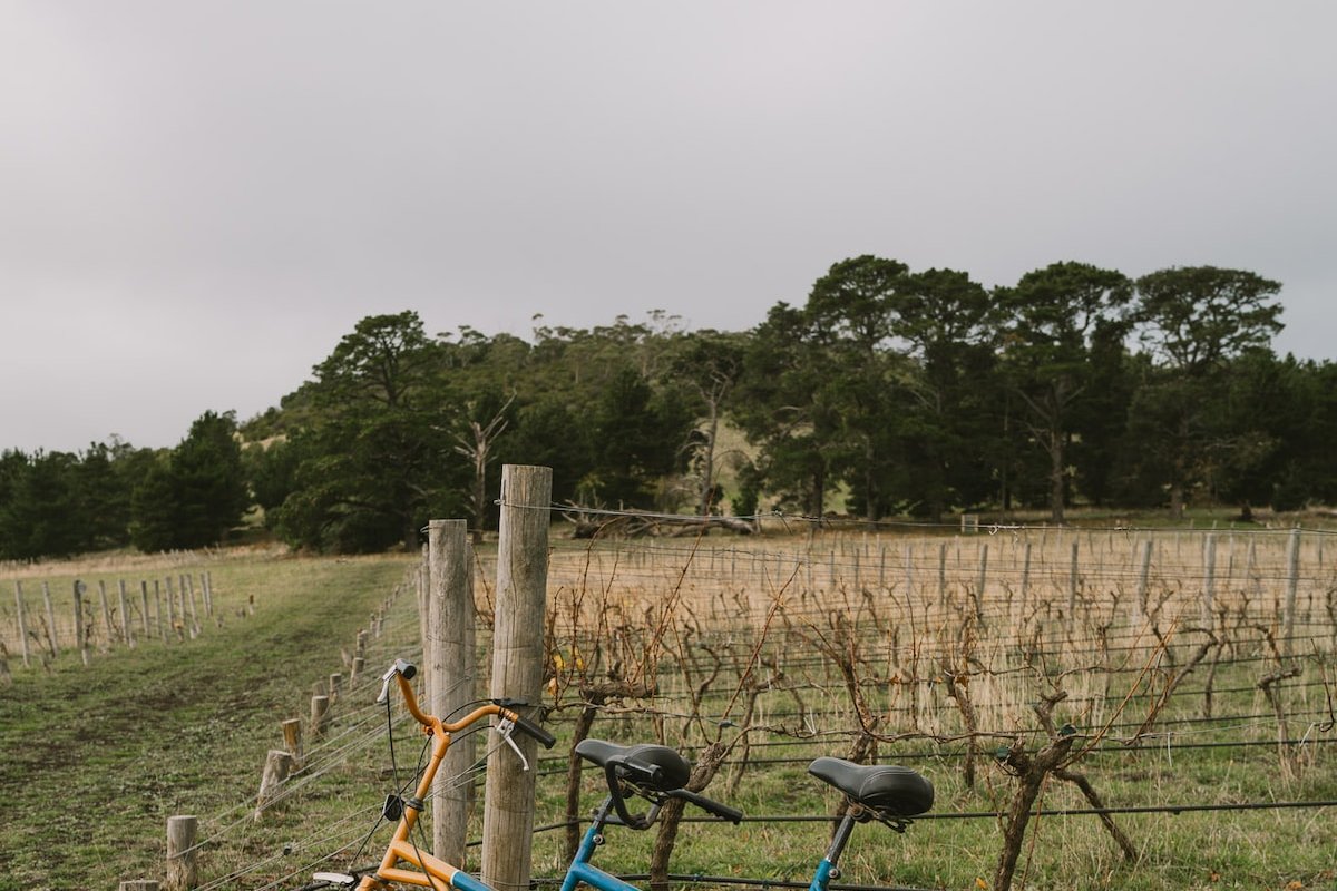 Escapes Top Pick – Group Getaway for the Year gallery image 5