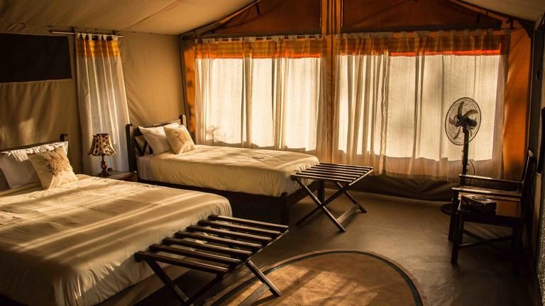 Porini Cheetah Camp Standard Tent