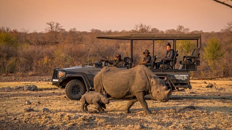 Black Rhino Experience & Game drives