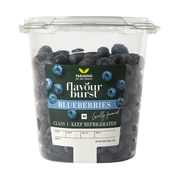 Photo of Flavourburst™ Blueberries 450 g