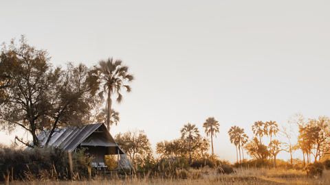 Wilderness Chitabe Lediba - The guest tents are immersed in nature.