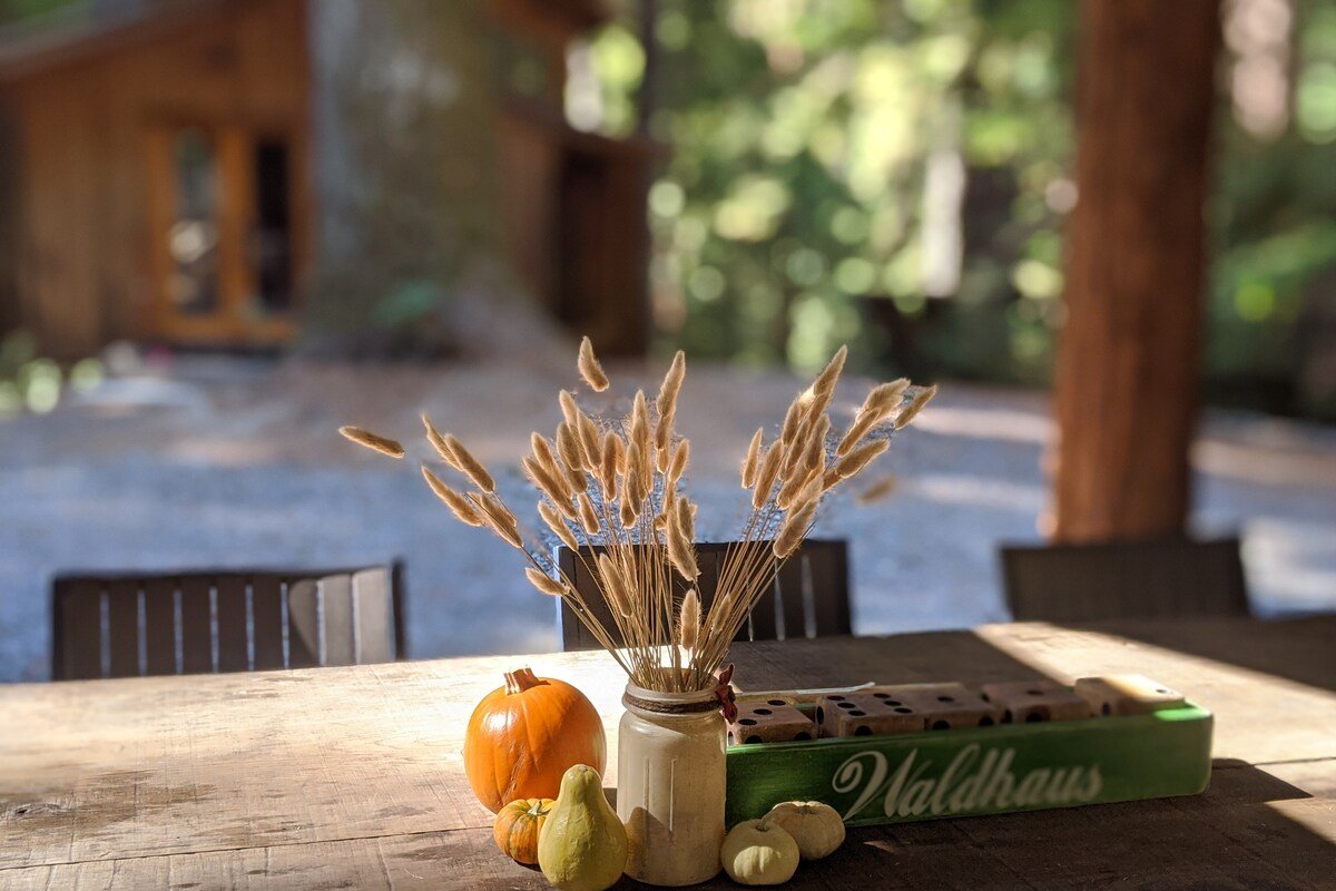 Glamping in the redwoods – Waldhaus at La Honda gallery image 4