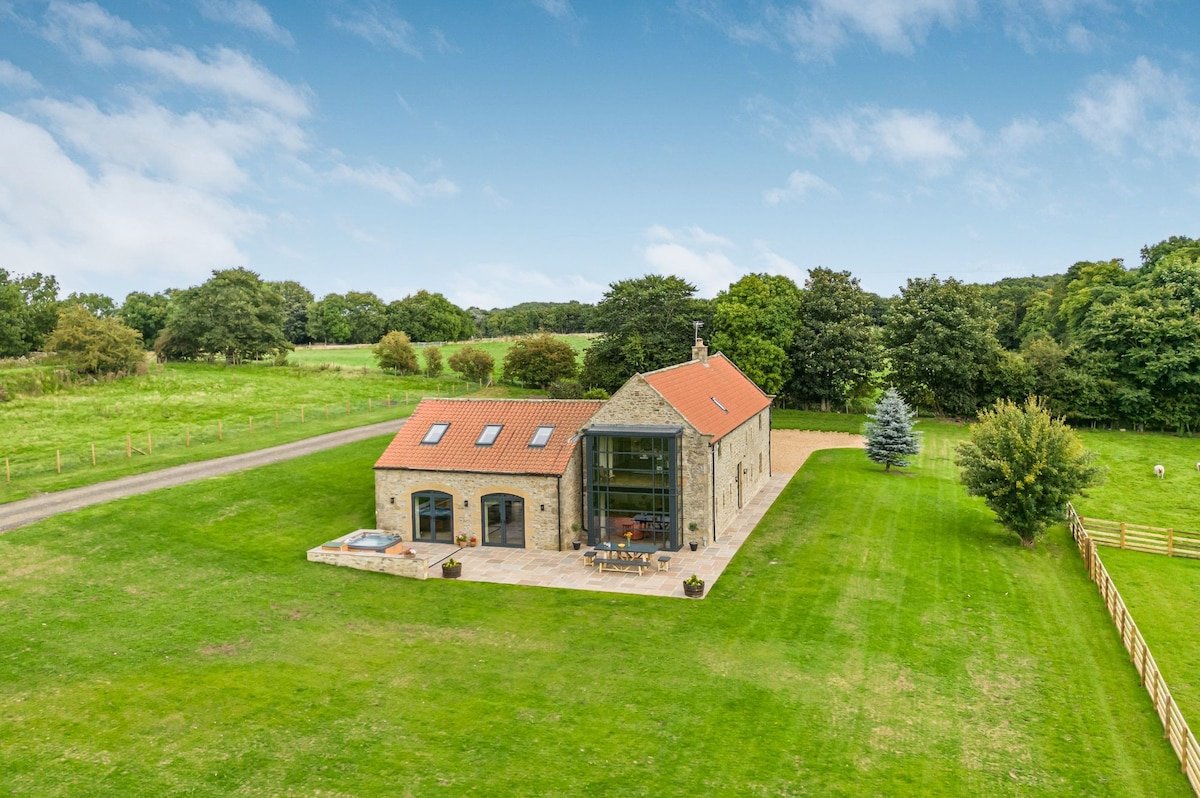 Dragonfly | Holiday at Home