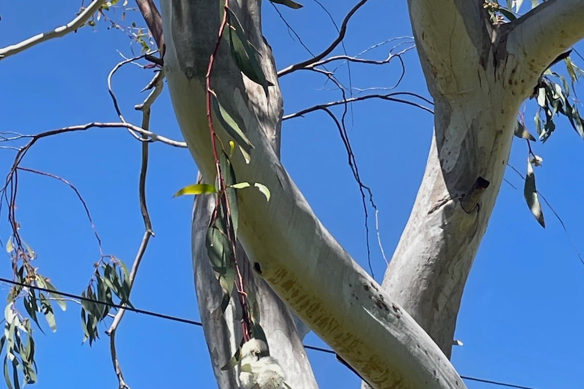 Relax with space and ocean views gallery image 5