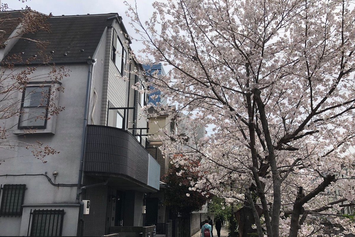 新宿＆渋谷&大久保近く!駅から5分。東京中心の私人别墅! 美しい桜と川(0ｍ)の眺め!専門会社の清掃 gallery image 2