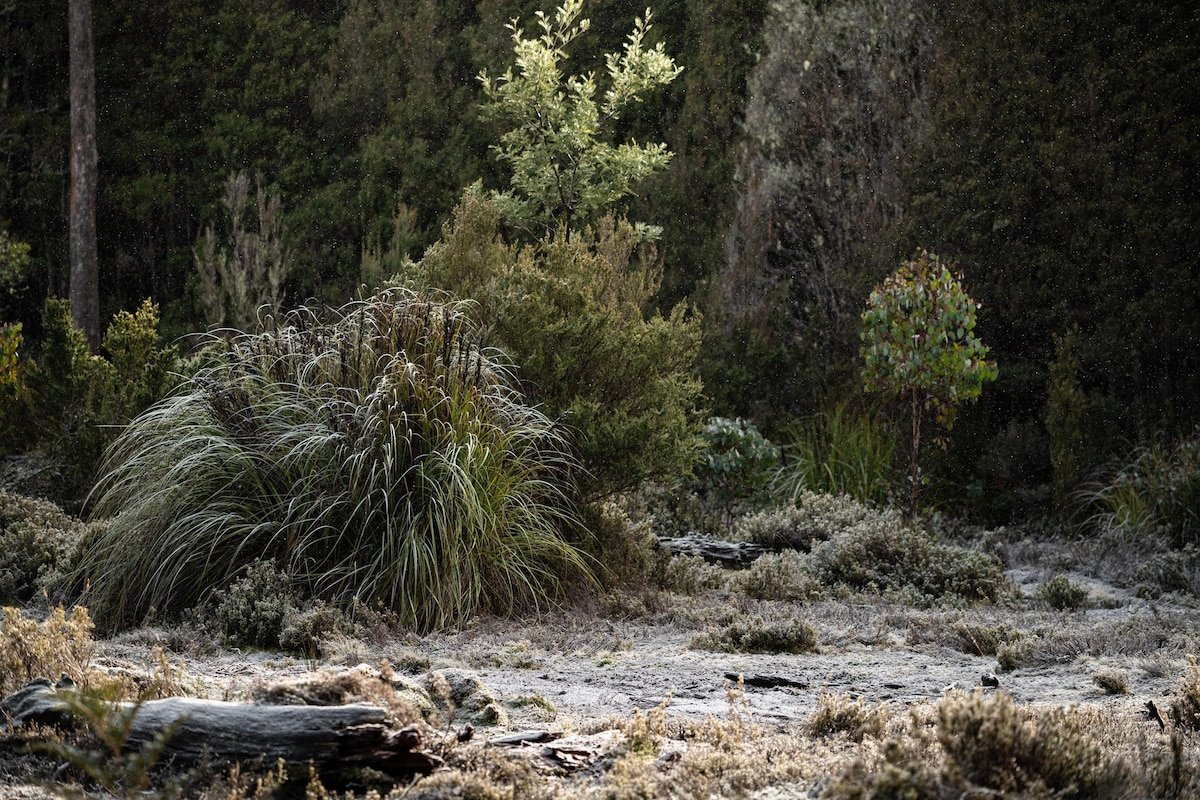 Blackjack – Deluxe Chalet gallery image 4