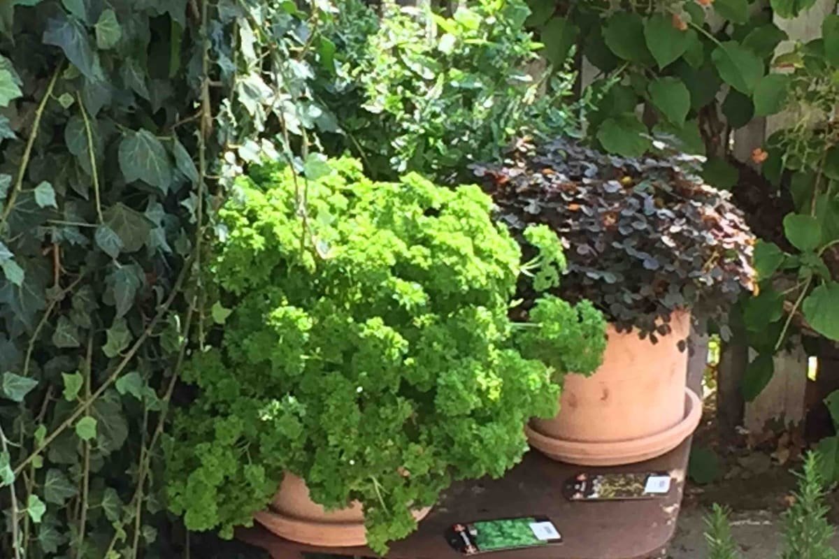 Town house in best area, 200sqm, private garden gallery image 3