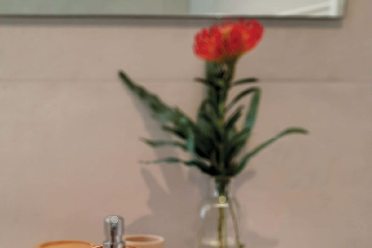 AR Airport Bergamo Pet free Parking free gallery image 3