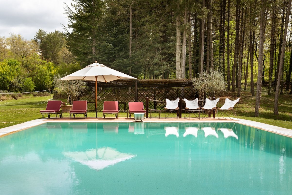 Aiola gallery image 4