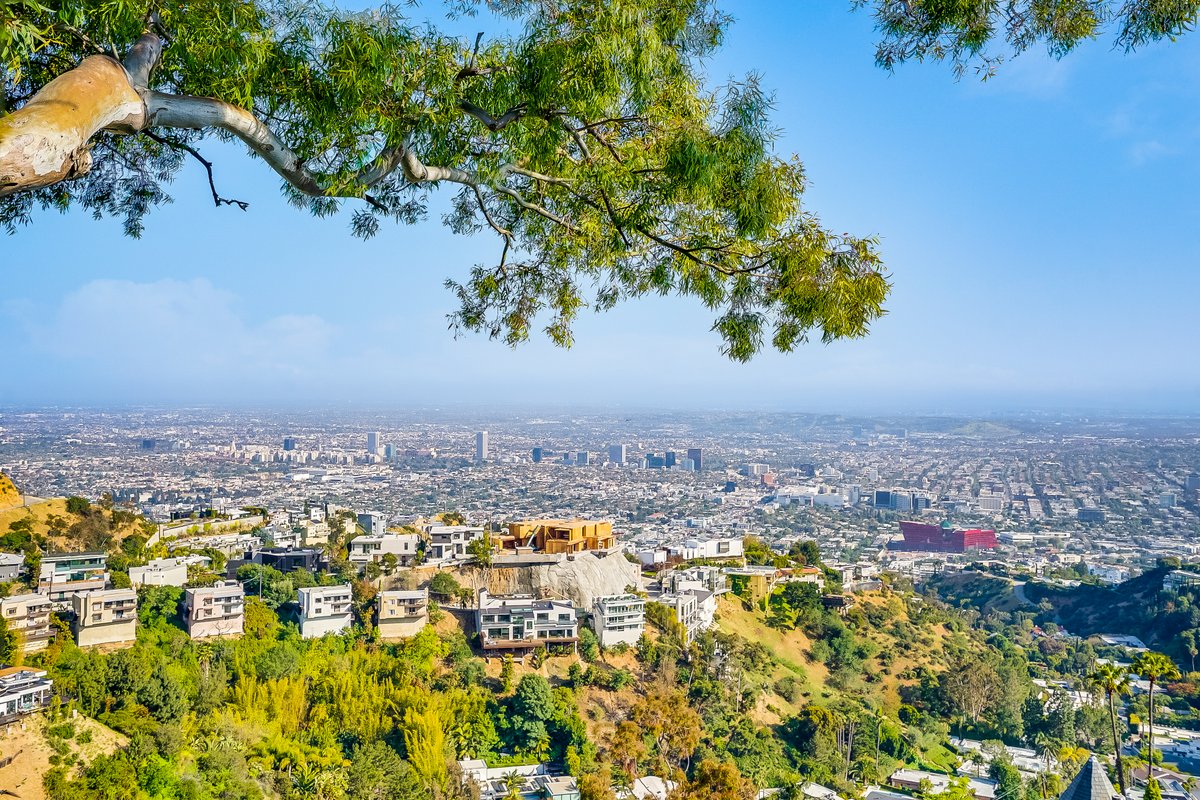Hollywood Hills Serenity with a view