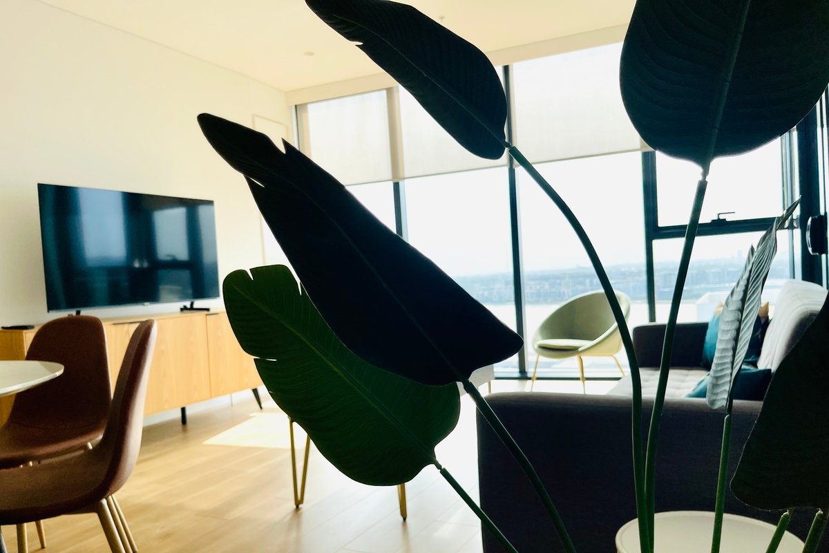 New Waterview family residence (3 bedrooms)