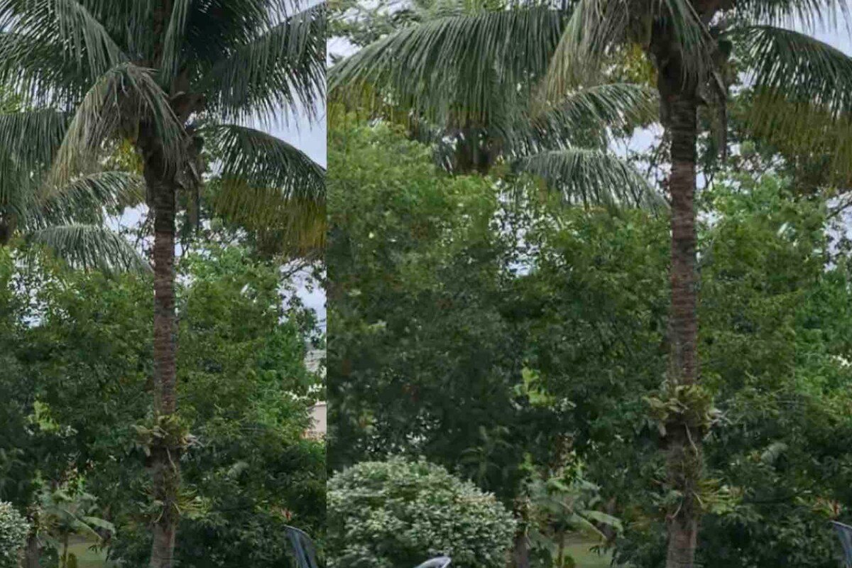 Ideal spot for family and friends ! gallery image 4