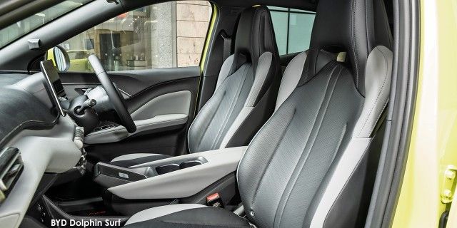 BYD DOLPHIN SURF DYNAMIC - 11 