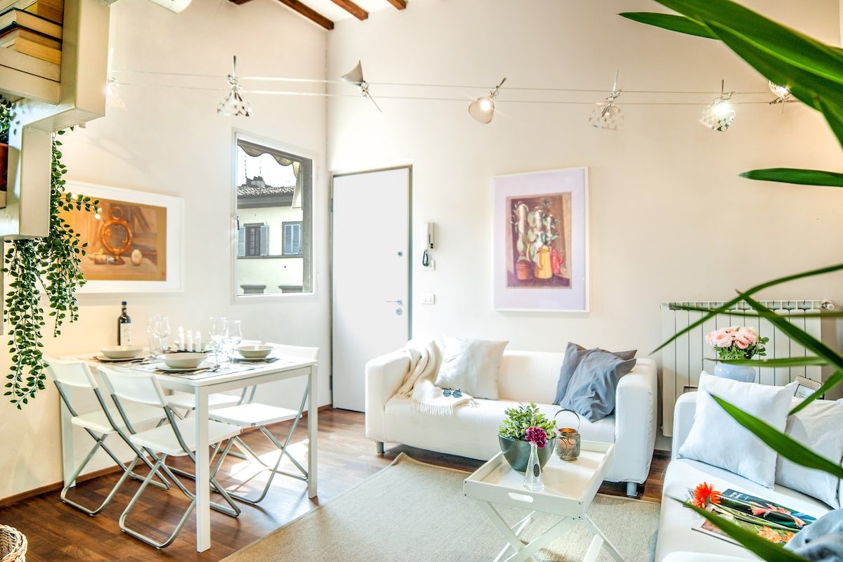 Venus – On the roofs of Florence gallery image 4