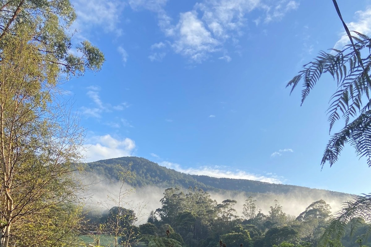 Welcome on Wellington gallery image 5