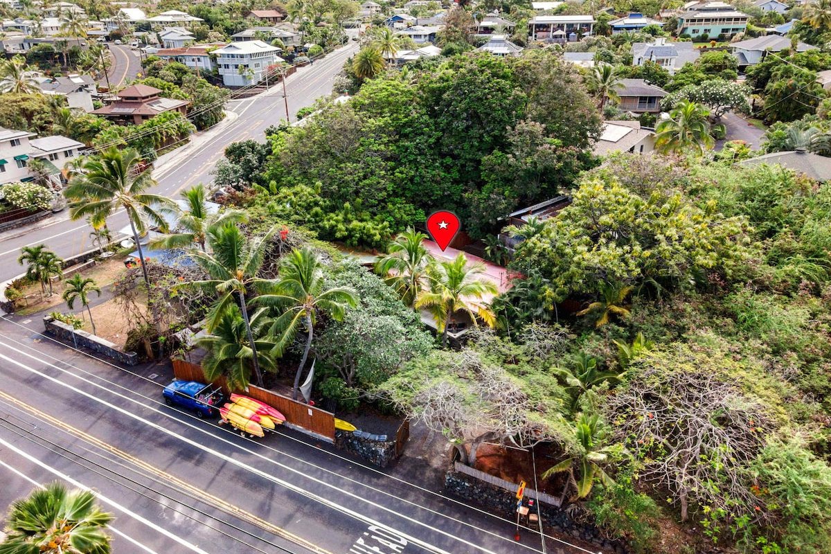 The Salty Jungle Kona gallery image 5