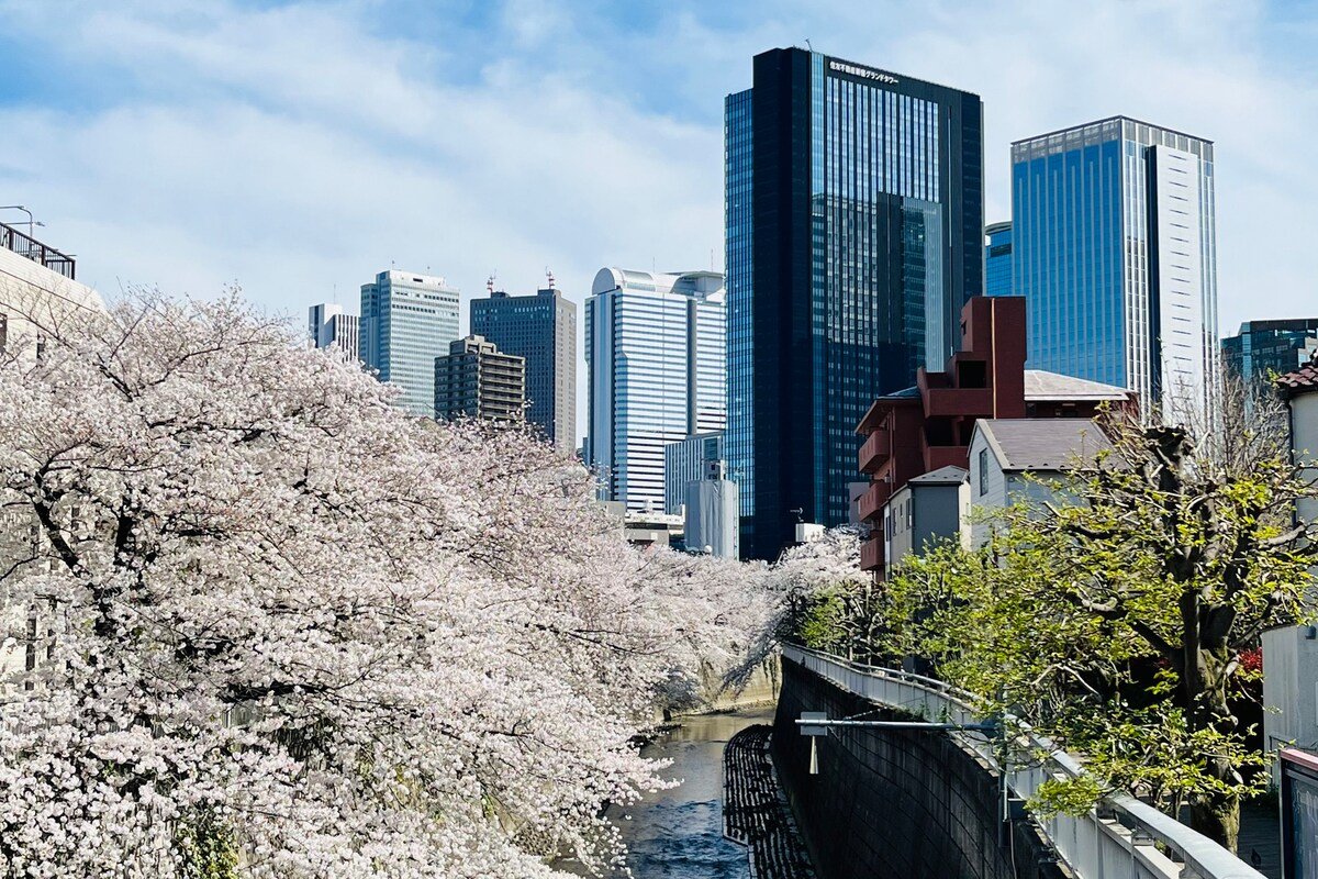 《花苑》2分钟即达新宿／新房8⃣️折【新宿稀有一线河景樱花高端独栋别墅】宽敞舒适／新宿&涩谷都心商圈 gallery image 2