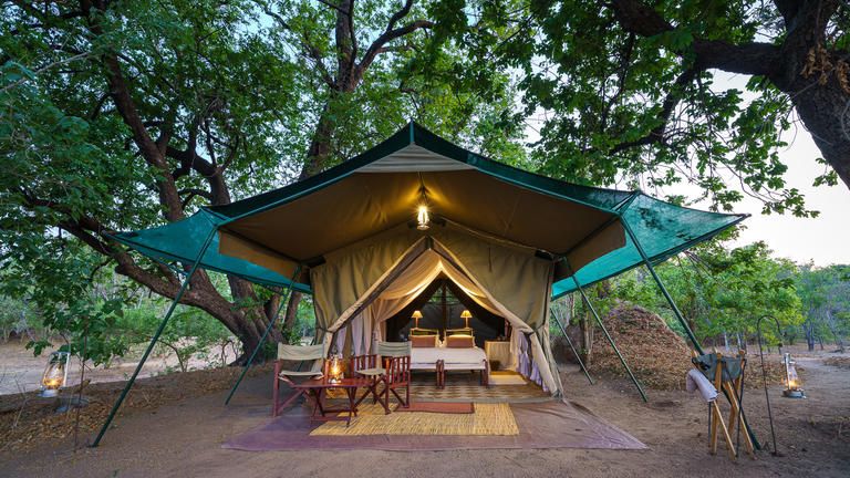 John's Camp - Tents at John's Camp