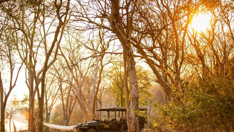 Activity - Game Drives