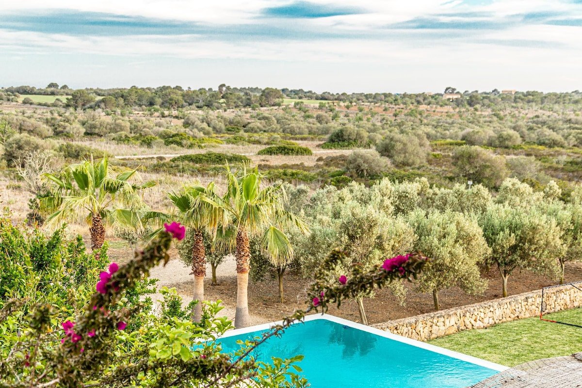 Villa Salamandra with pool for 10 people, Santanyi gallery image 4