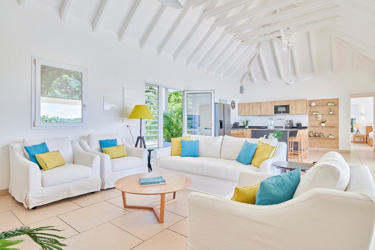 Cactus gallery image 4