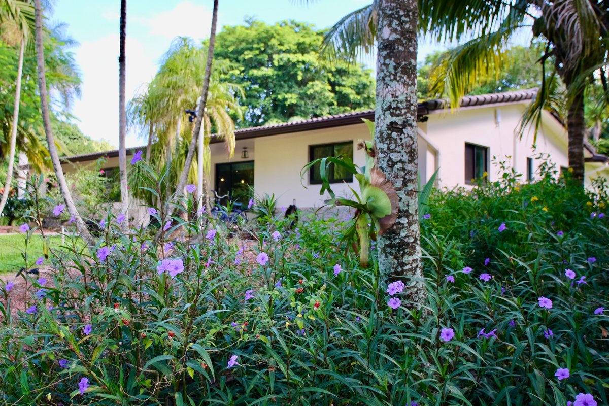 Ranch life in the City- Heated Pool-Pond-1 acre