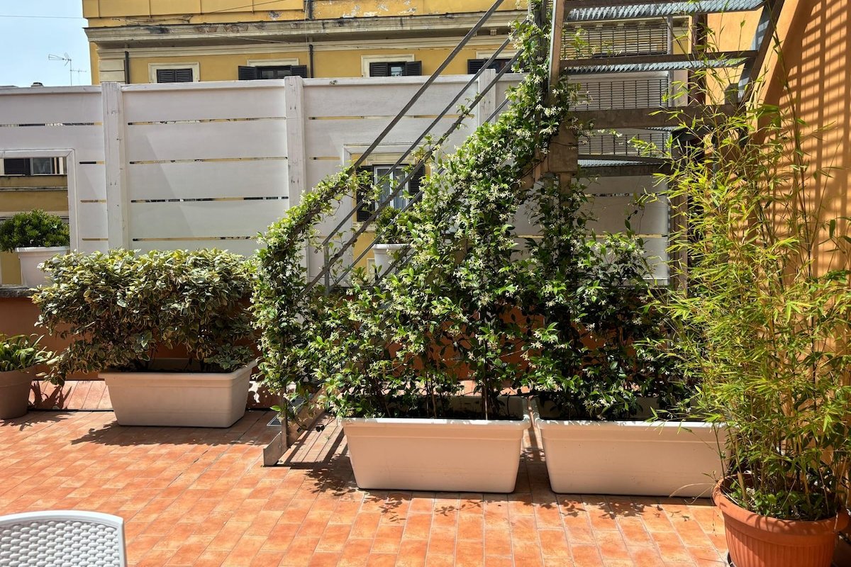 Rooftop St. Peter gallery image 3