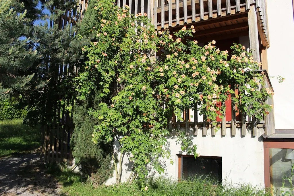 Les Pins – Appartment/Loft – Residential area gallery image 5