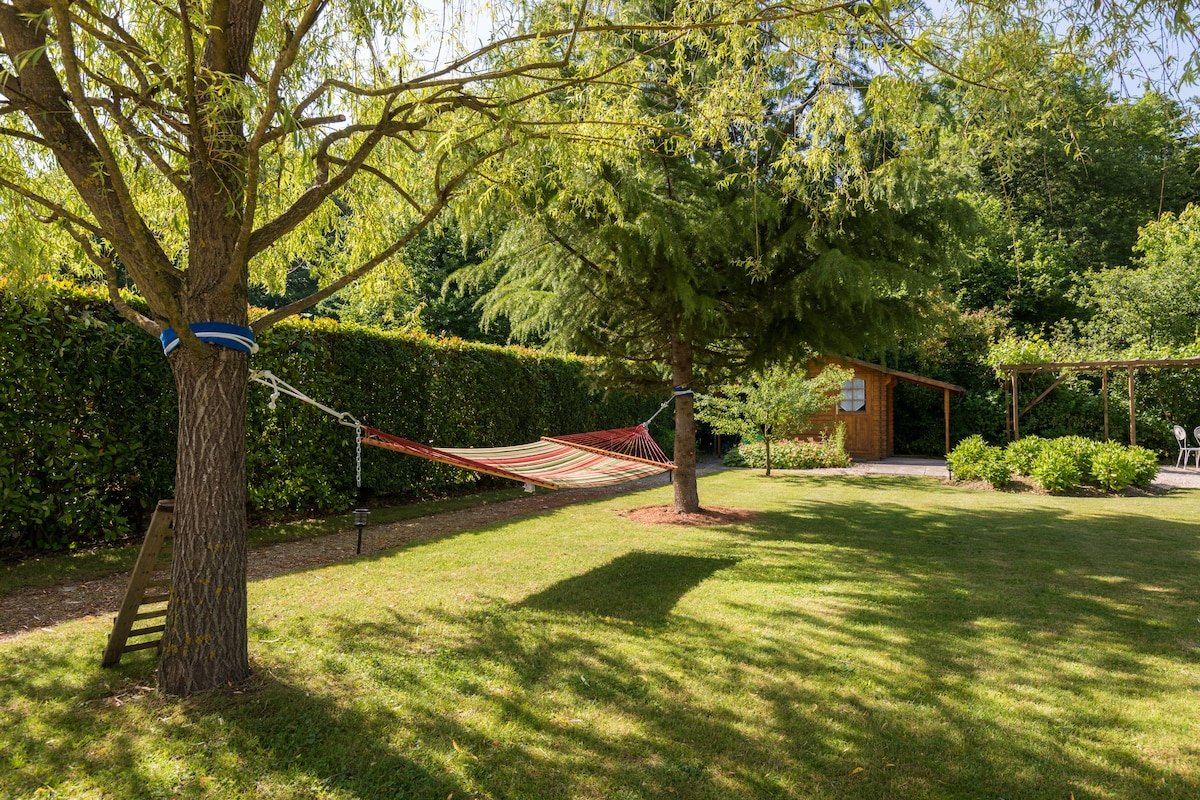 Magnificent villa in Geneva gallery image 4