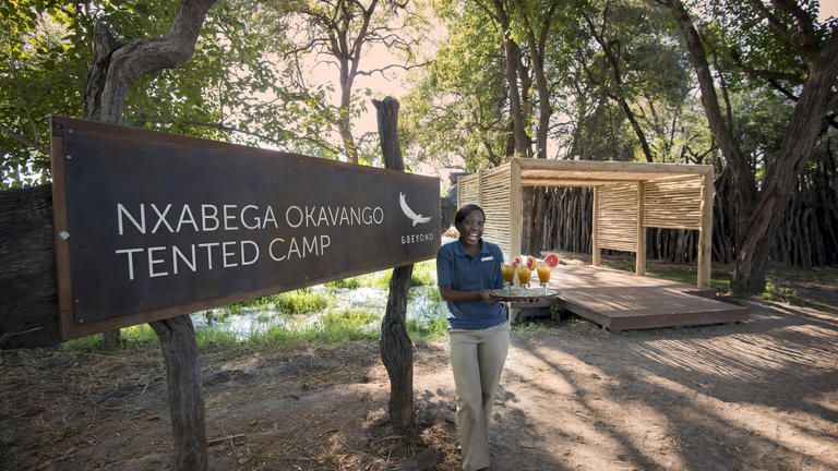 andBeyond Nxabega Okavango Tented Camp - Arrival