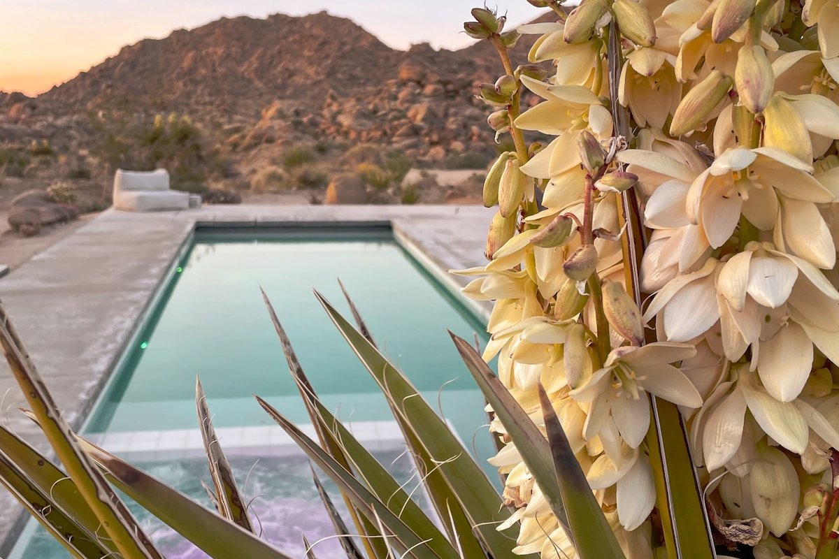 SkyHouse gallery image 5