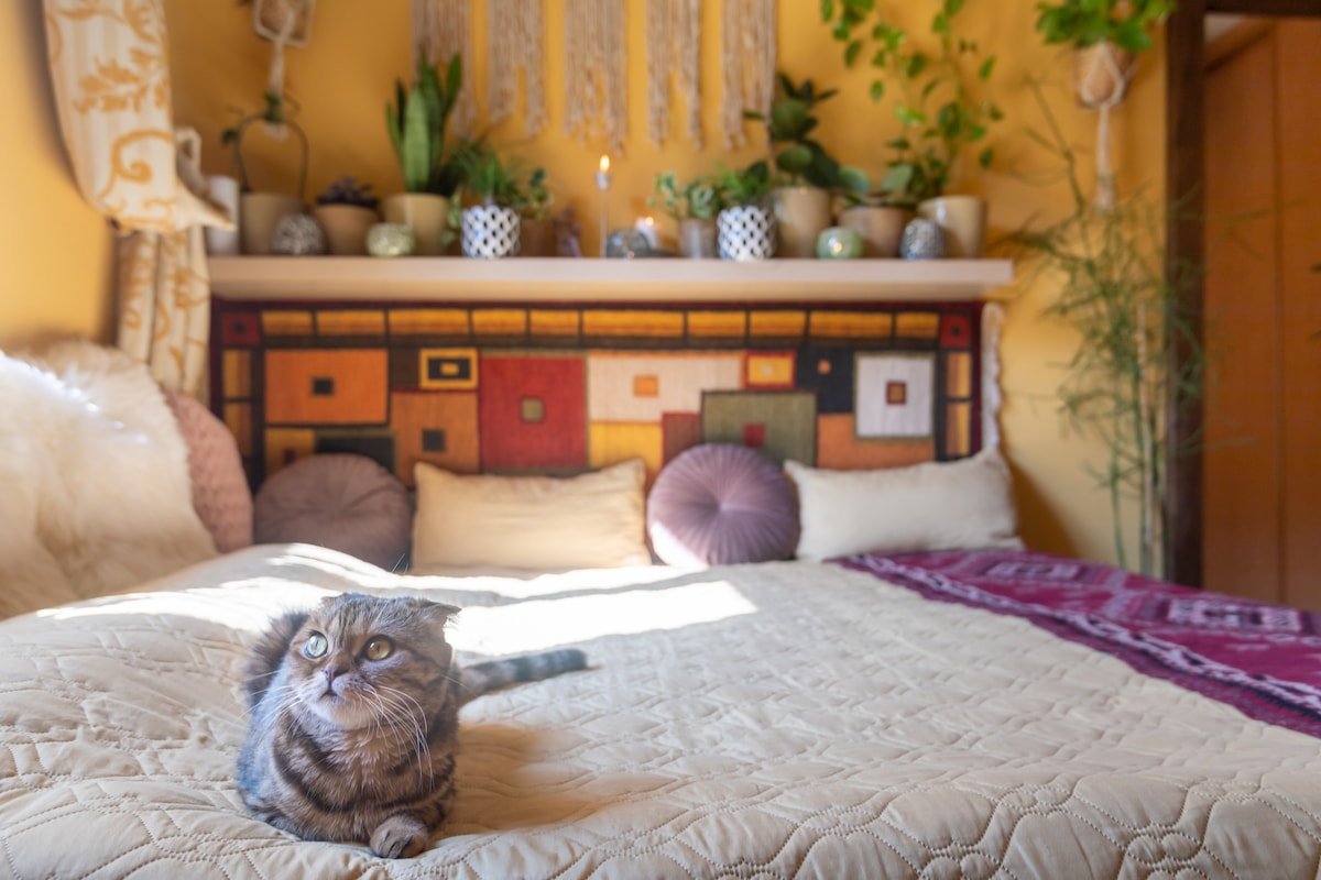 Lovely nice apartment in Prague city centre gallery image 5