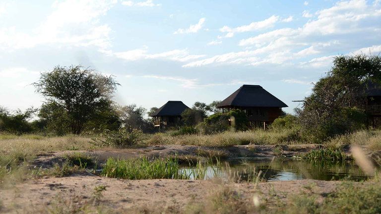 nThambo Tree Camp Treehouse Chalet