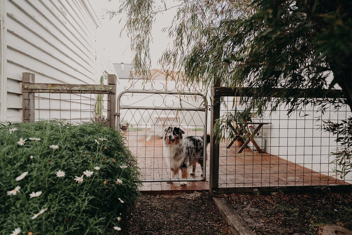 Balnagown Cottage gallery image 3