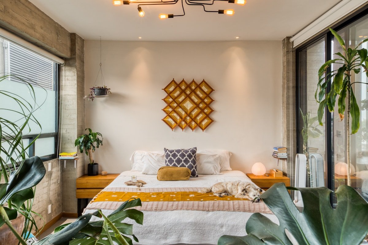 Amplio depa con hermosa terraza para 6 en la Roma gallery image 3