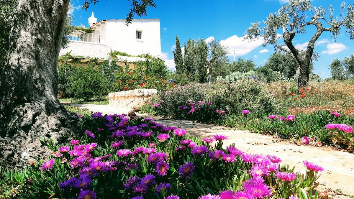 Masseria Montefieno- Stunning Masseria with Poolol gallery image 4