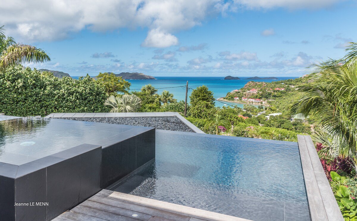 Golden Palm gallery image 3