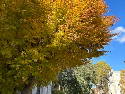 Private entrance sunny high ceiling house