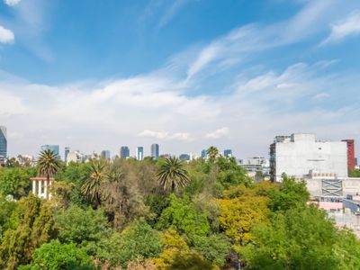 Big, Modern, Bright Condesa Apt. in Front of Park