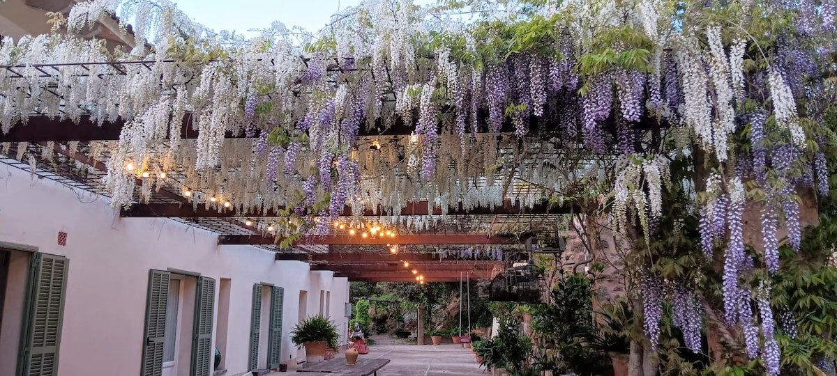 “Mallorca – Tramuntana – HONOR NOU” gallery image 3