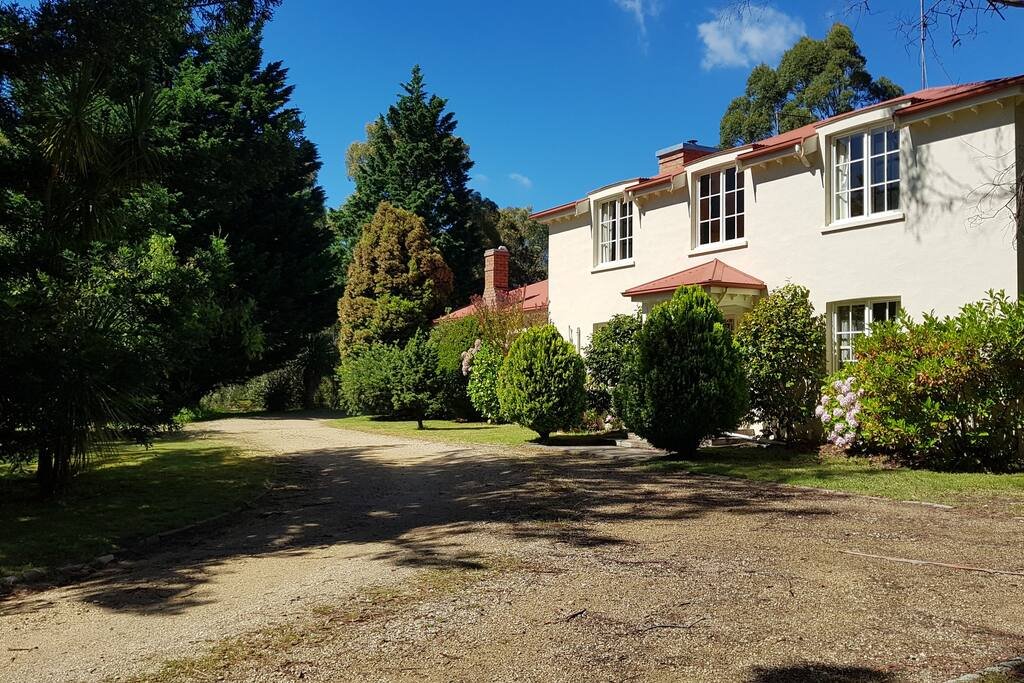 The French House gallery image 3