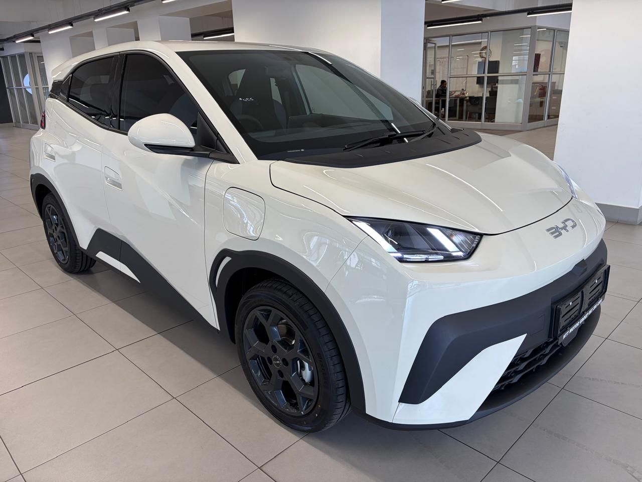 BYD DOLPHIN SURF COMFORT for Sale in South Africa